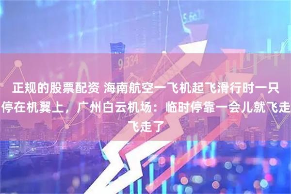 正规的股票配资 海南航空一飞机起飞滑行时一只鸟停在机翼上，广州白云机场：临时停靠一会儿就飞走了