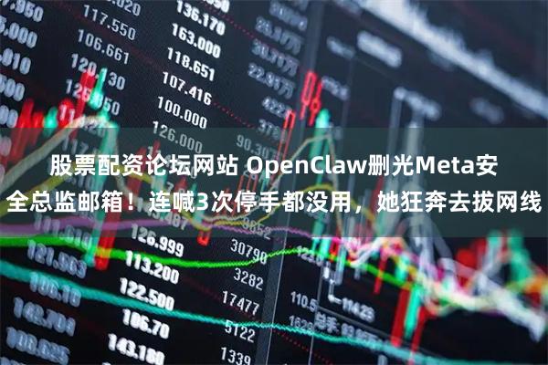 股票配资论坛网站 OpenClaw删光Meta安全总监邮箱！连喊3次停手都没用，她狂奔去拔网线